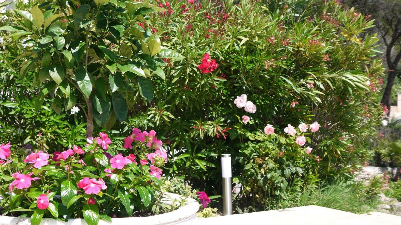 Grand Appartement Dans Maison Avec Piscine Privee เฟรฌูส ภายนอก รูปภาพ